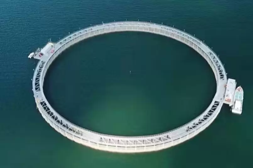 Projet de filet anti-requins de l'hôtel de pêche orange de Bao Neng