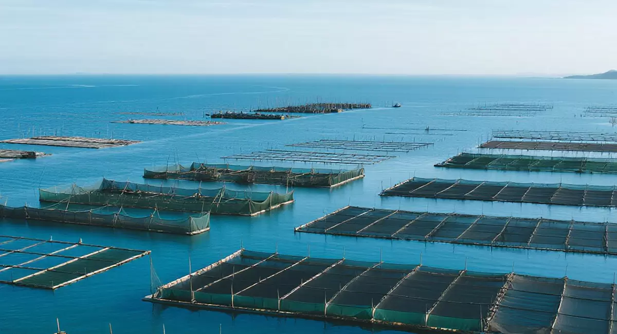 Filet d'aquaculture