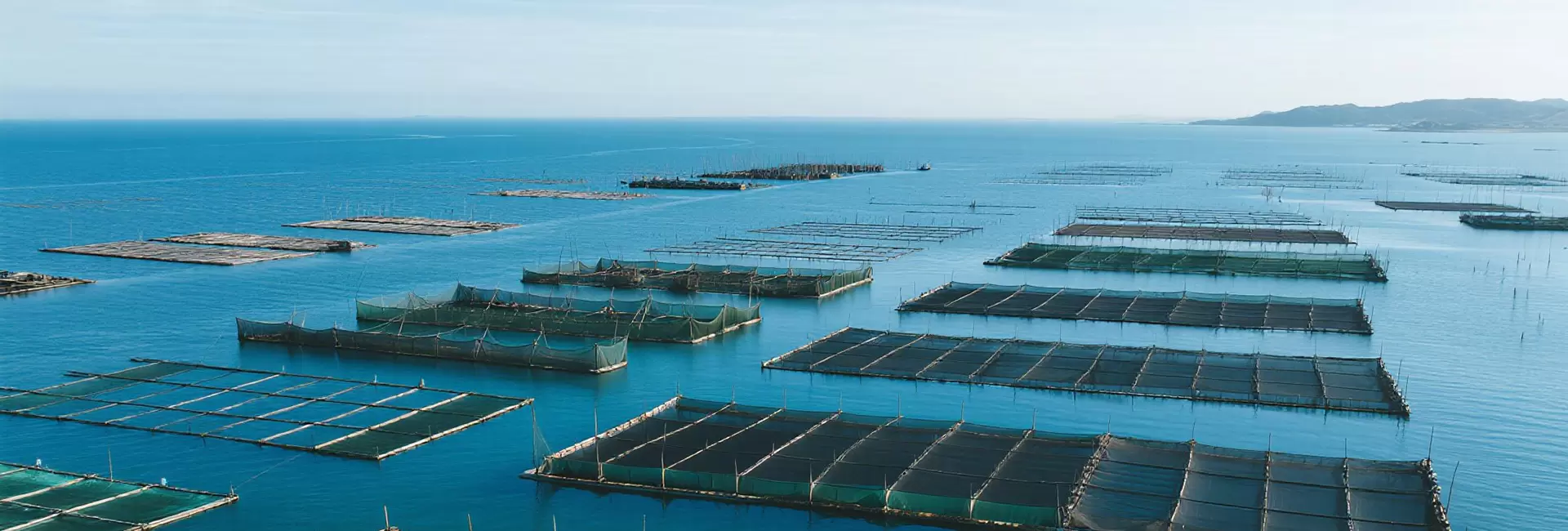 Filet d'aquaculture